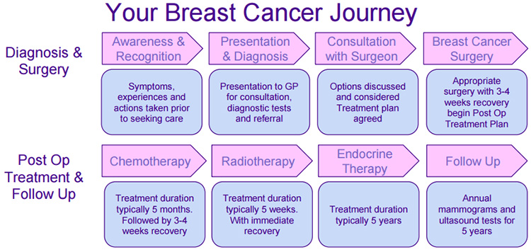 Breast Cancer Journey